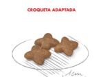 Royal Canin Mini Adulto 2.5 kg Alimento Premium para Perros de Raza Pequeña - Imagen 2