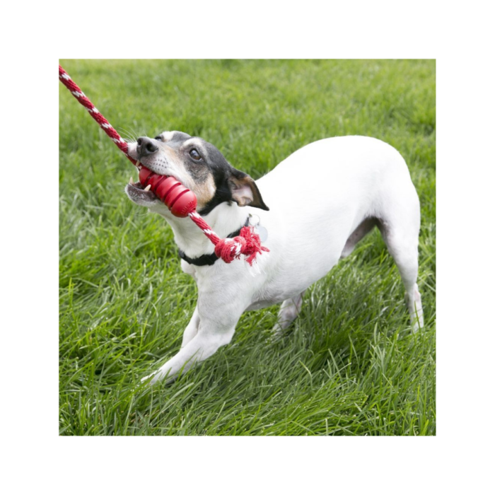 Kong Dental con Cuerda Talla M - Imagen 2