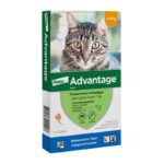 Advantage Antiparasitario Externo para Gatos hasta 4 kg