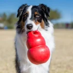 Juguete Perro Kong Bounzer Mediano M Rebote Impredecible Flexible - Imagen 2