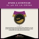 Pro Plan Gato Adulto Urinary 3 kg Alimento Premium Salud Urinaria - Imagen 2
