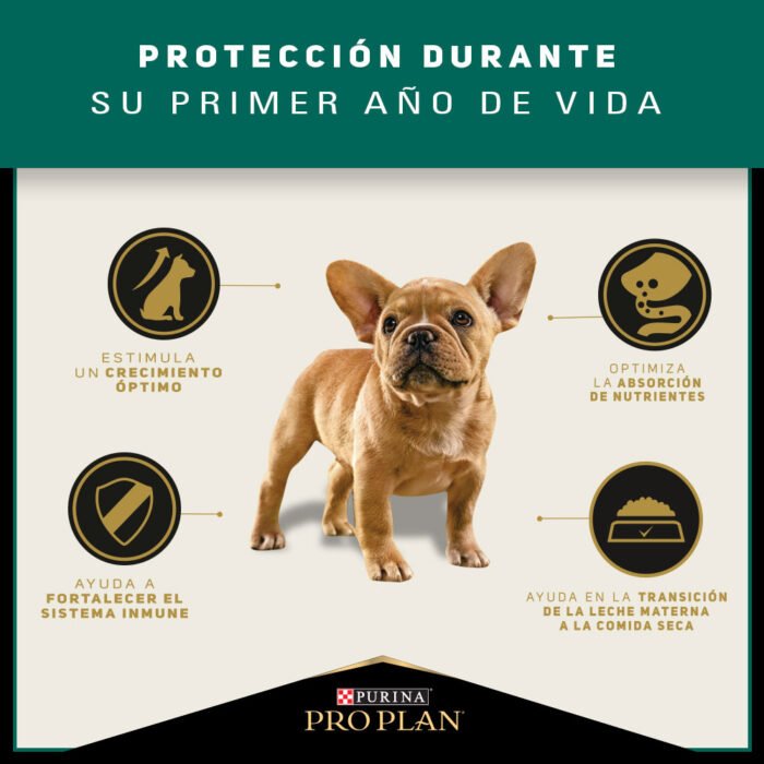 Pro Plan Perro Cachorro Raza Pequeña 7.5 kg Alimento Premium Crecimiento - Imagen 2