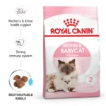 Royal Canin Gato Mother & Babycat 1.5 kg Alimento Premium Madre y Gatitos - Imagen 2