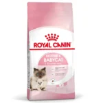 Royal Canin Gato Mother & Babycat 1.5 kg Alimento Premium Madre y Gatitos