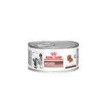 Royal Canin Recovery Lata 145 g Alimento Veterinario Convalecencia Perro y Gato