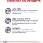 Royal Canin Alimento Gato Castrados Weight Control 1.5kg - Imagen 2